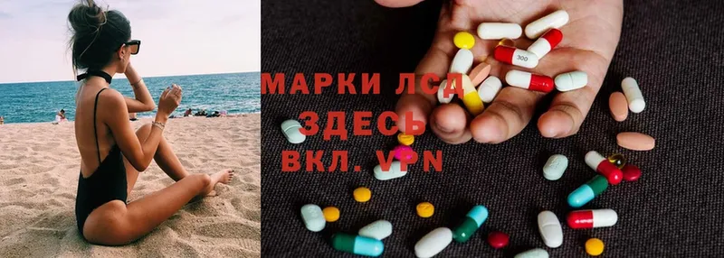 купить наркоту  Новопавловск  LSD-25 экстази ecstasy 